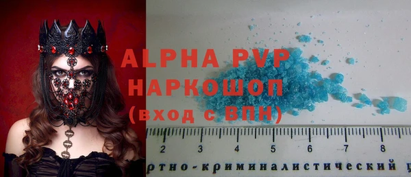 стаф Баксан
