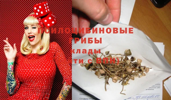 стаф Баксан