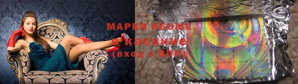 стаф Баксан