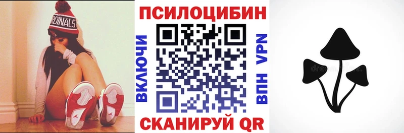 Псилоцибиновые грибы Psilocybine cubensis  купить закладку  Ладушкин 